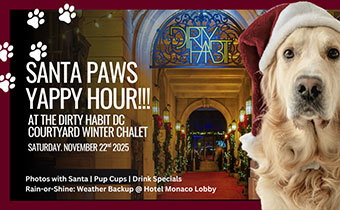 Santa Paws photo event for dogs at Dirty Habit