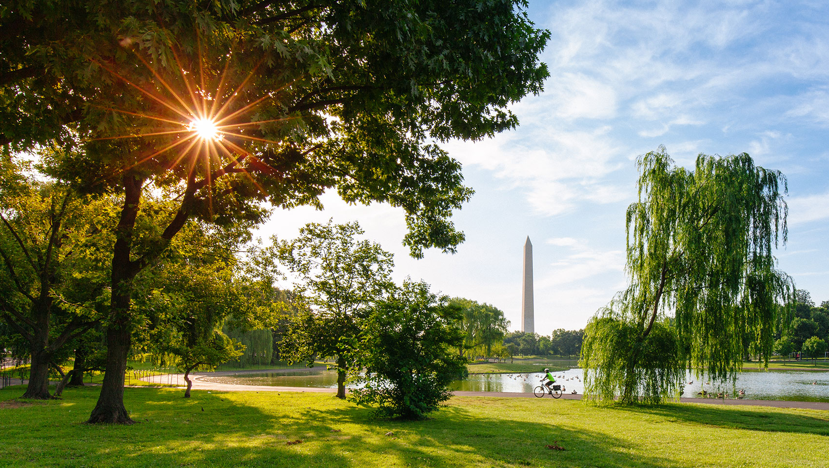 park with large trees and the Washington monument in the background