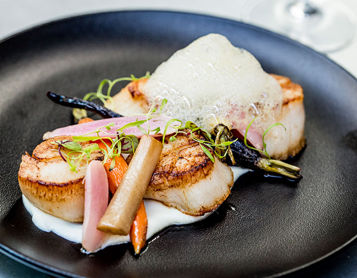 Scallops