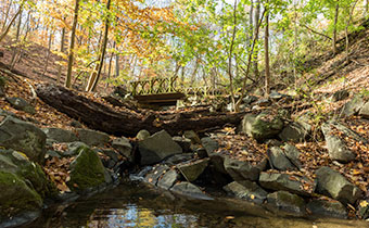 Rock Creek Park