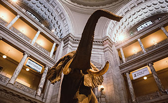 smithsonian-museum