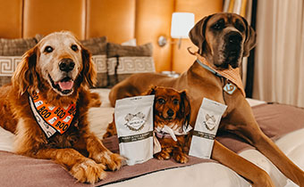 Pups enjoy treats at Hotel Monaco