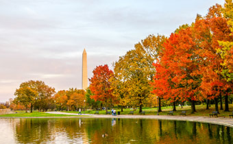 Washington Monument + fall foliage