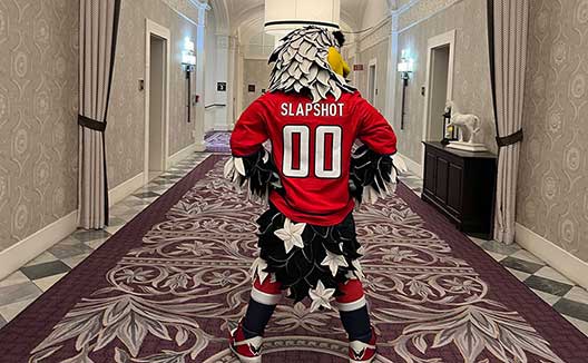 Capitals Mascot in hotel hallway